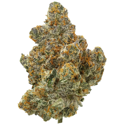 Close-up of a dense cannabis bud with frosty trichomes and orange hairs
