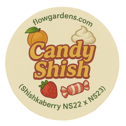 Candy Shish: Small Batch