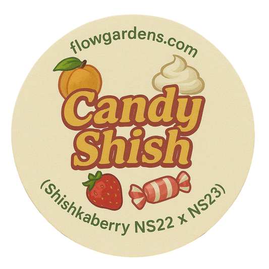 Candy Shish: Small Batch