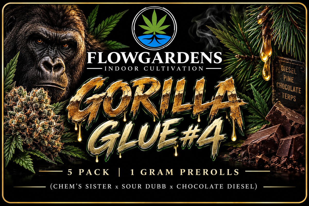 FlowRolls 5-Pack (1g Each)