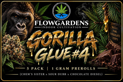 FlowRolls 5-Pack (1g Each)
