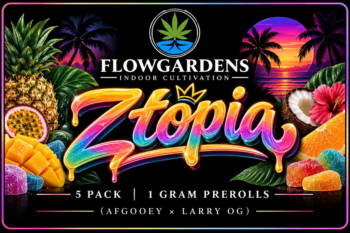 FlowRolls 5-Pack (1g Each)