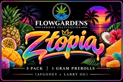 FlowRolls 5-Pack (1g Each)