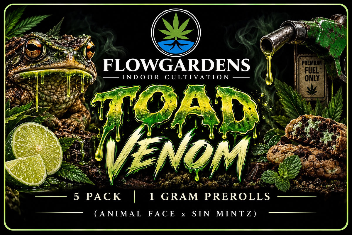 FlowRolls 5-Pack (1g Each)