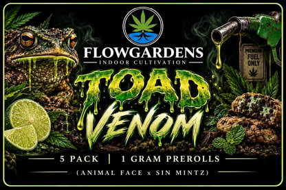 FlowRolls 5-Pack (1g Each)