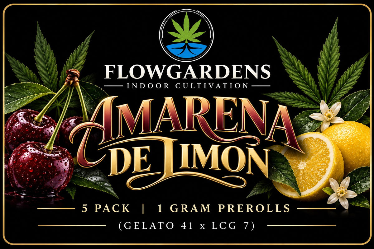 FlowRolls 5-Pack (1g Each)