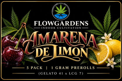 FlowRolls 5-Pack (1g Each)
