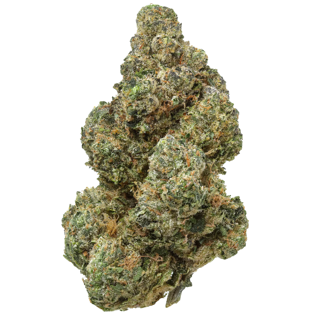 Cherry #22