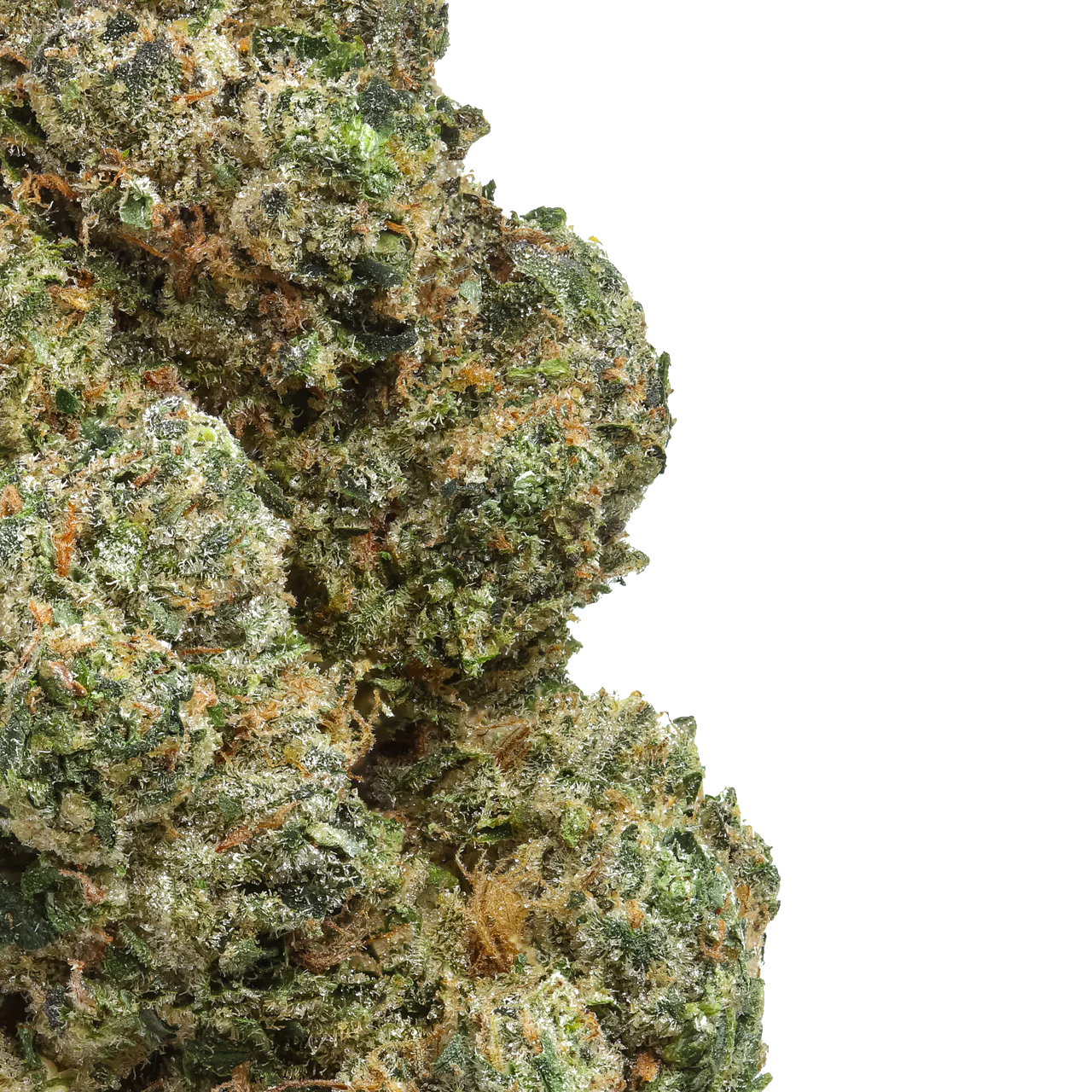 Cherry #22
