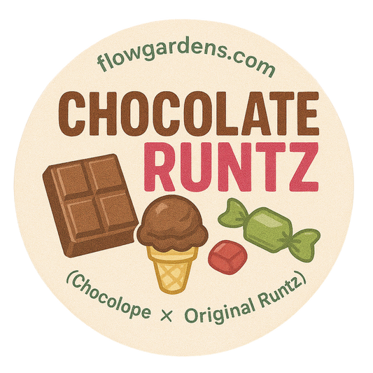 Chocolate Runtz: Small Batch