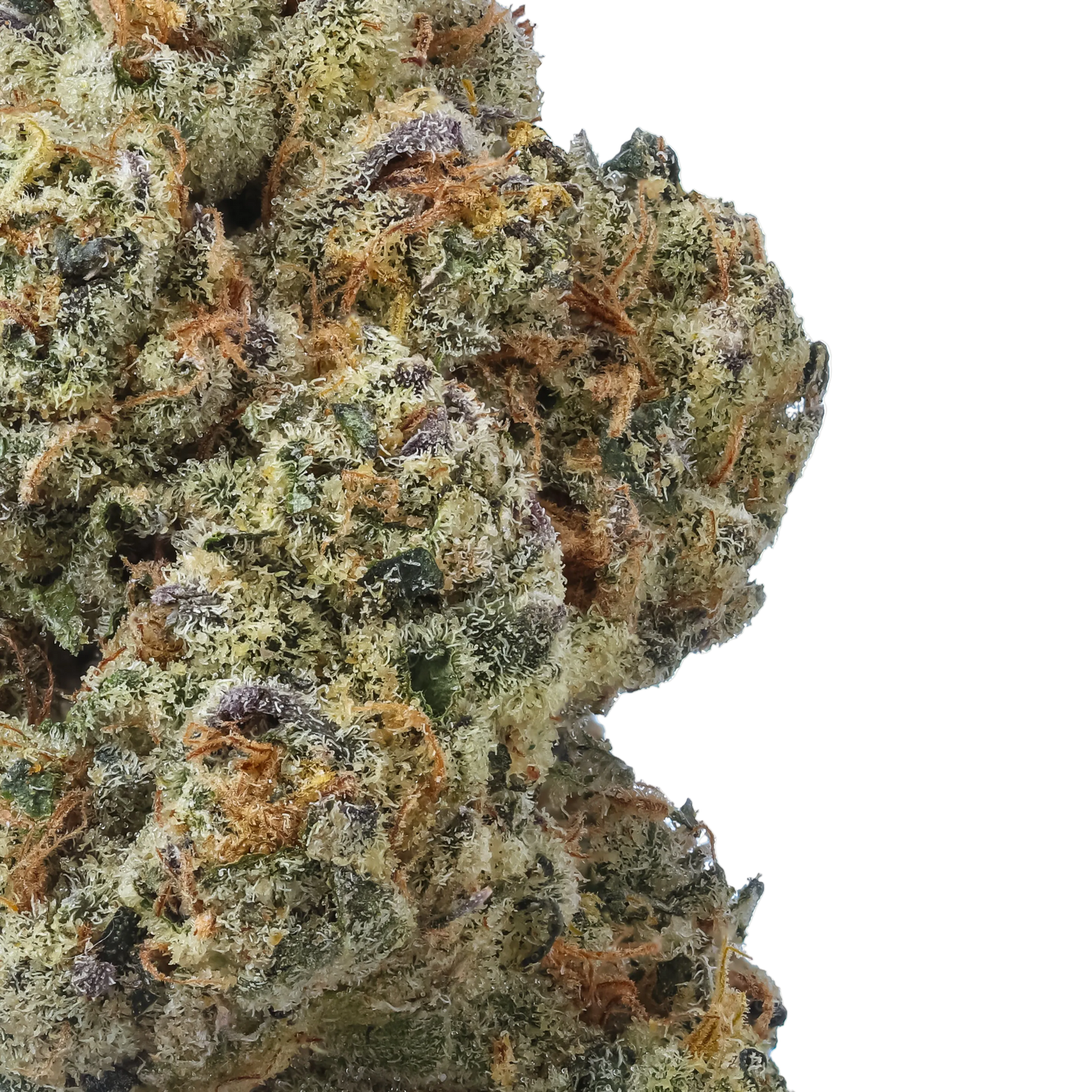 Coconut Cream