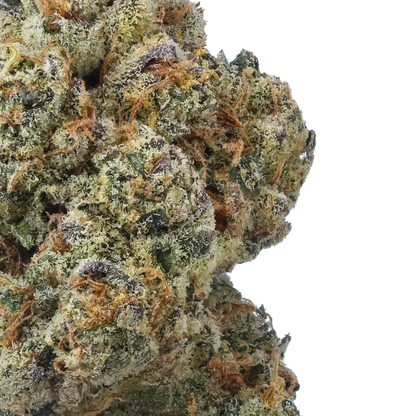 Coconut Cream