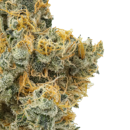 Coolio (Caps Cut)