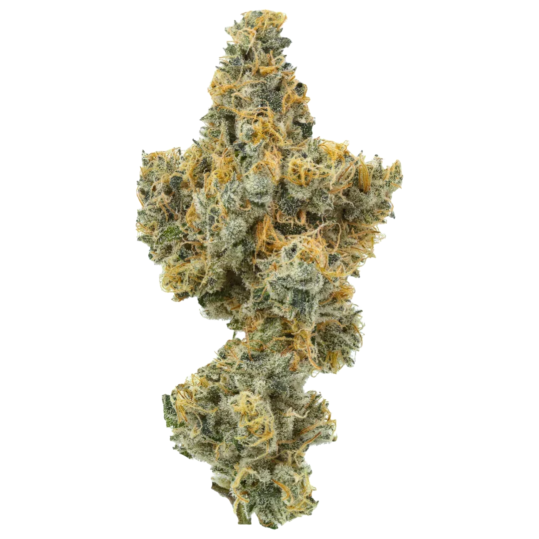 Coolio harvested flower, as labeled by the cited photo source
