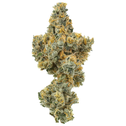 Coolio (Caps Cut)