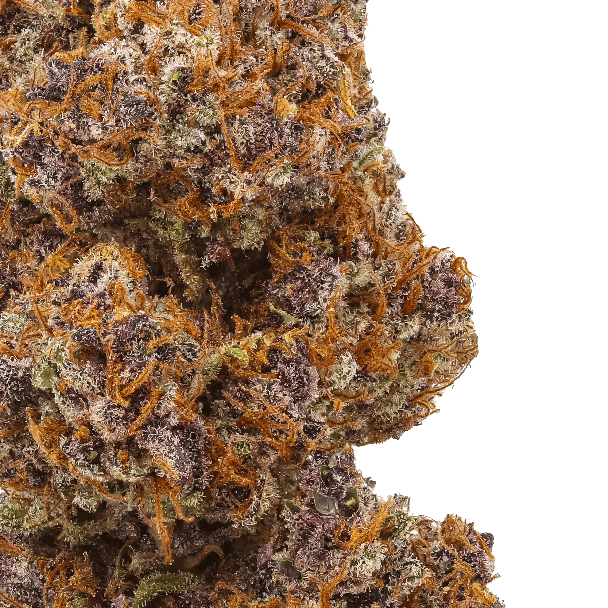 Small-batch craft flower macro showing dense trichome coverage