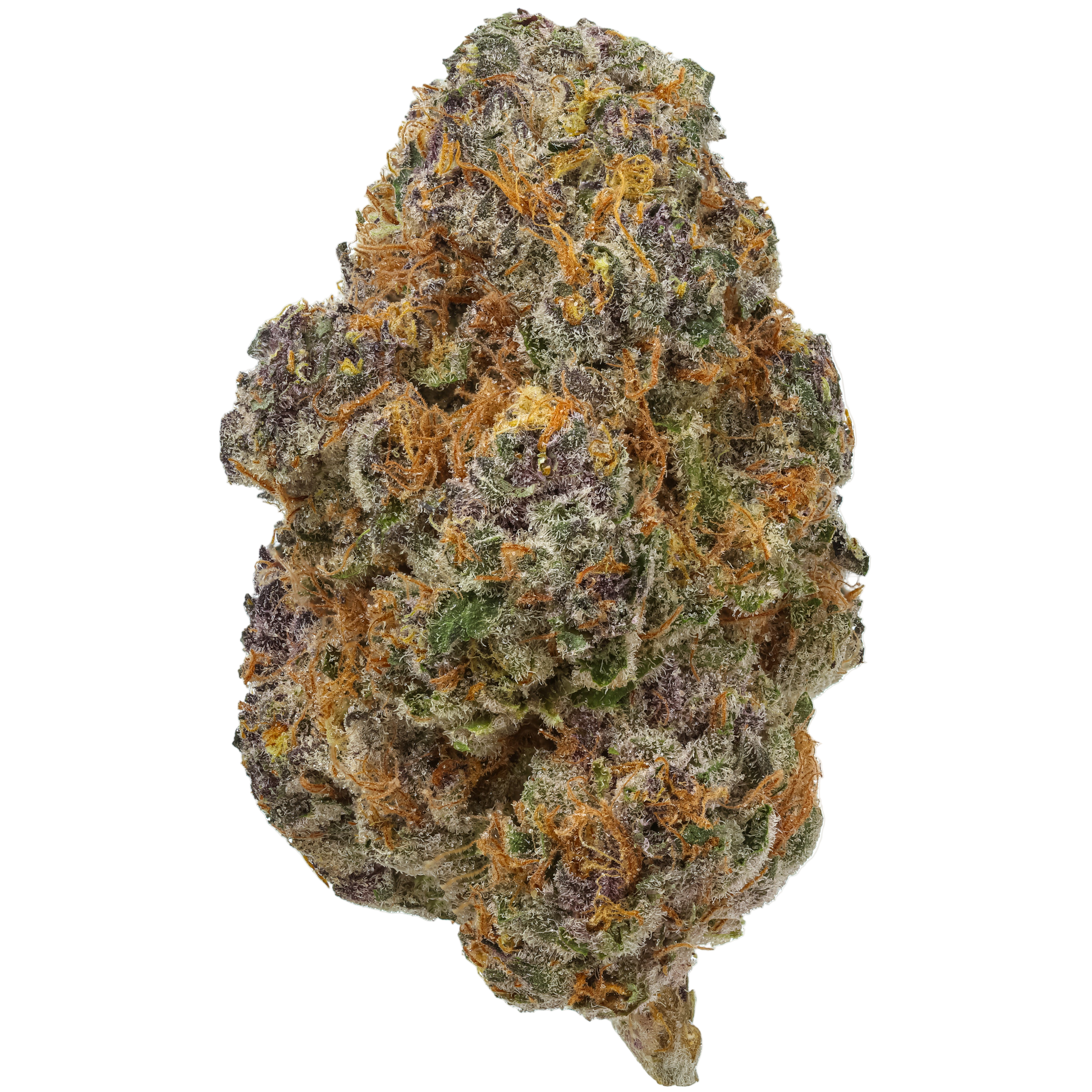 Close-up of a cannabis bud with green and orange colors