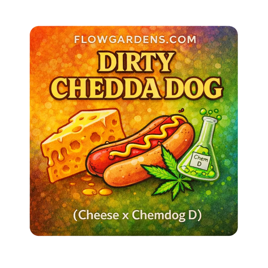 Dirty Chedda Dog: Small Batch