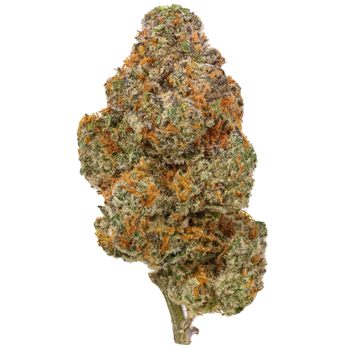Dulce de Fresca harvested flower, as labeled by the cited photo source