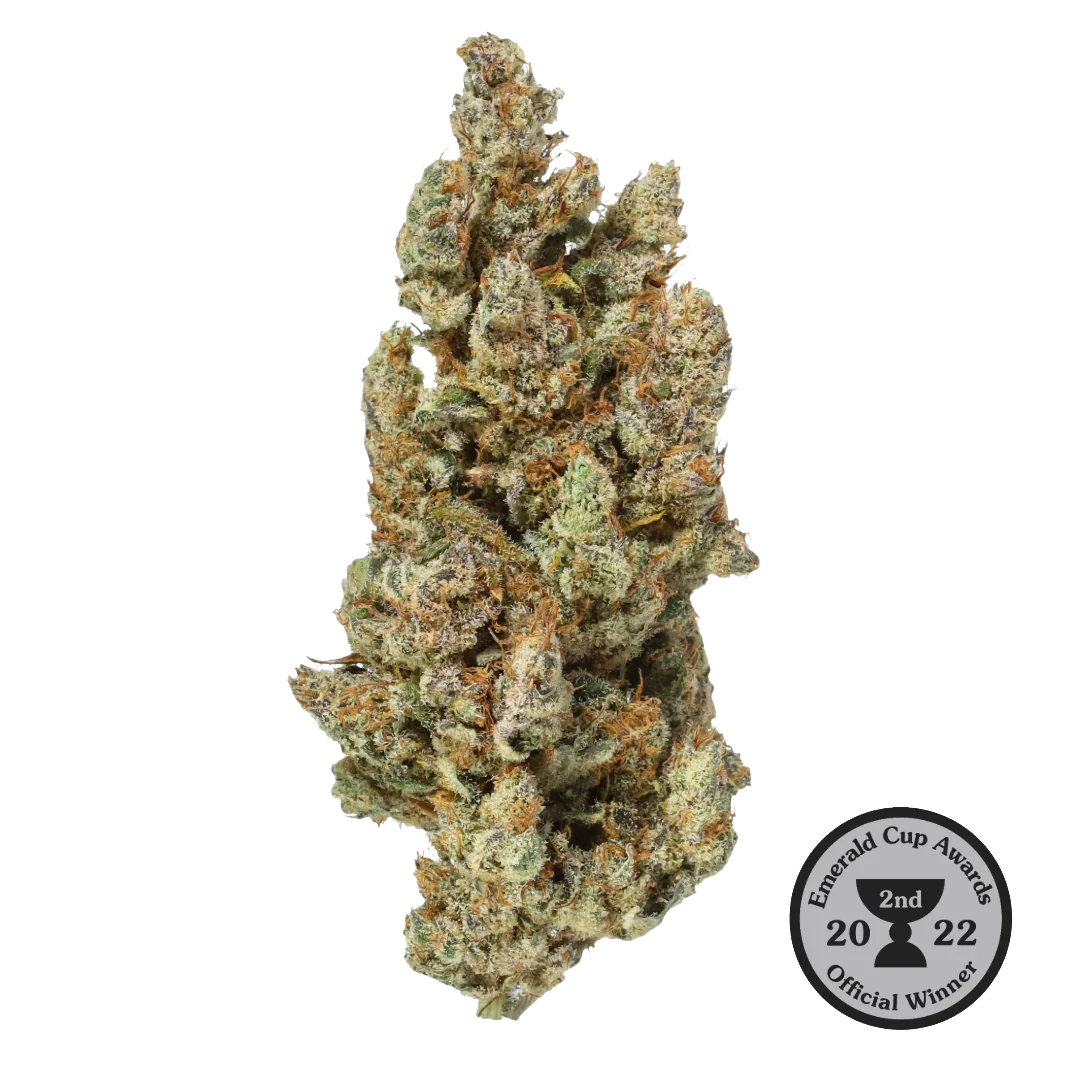 Flow Gardens Grapefruit, an Emerald Cup medalling CBD strain, in its jar