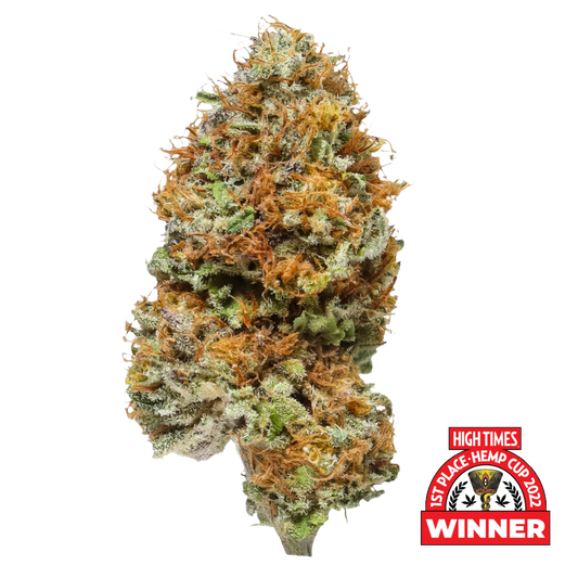 Blue Cheese #12