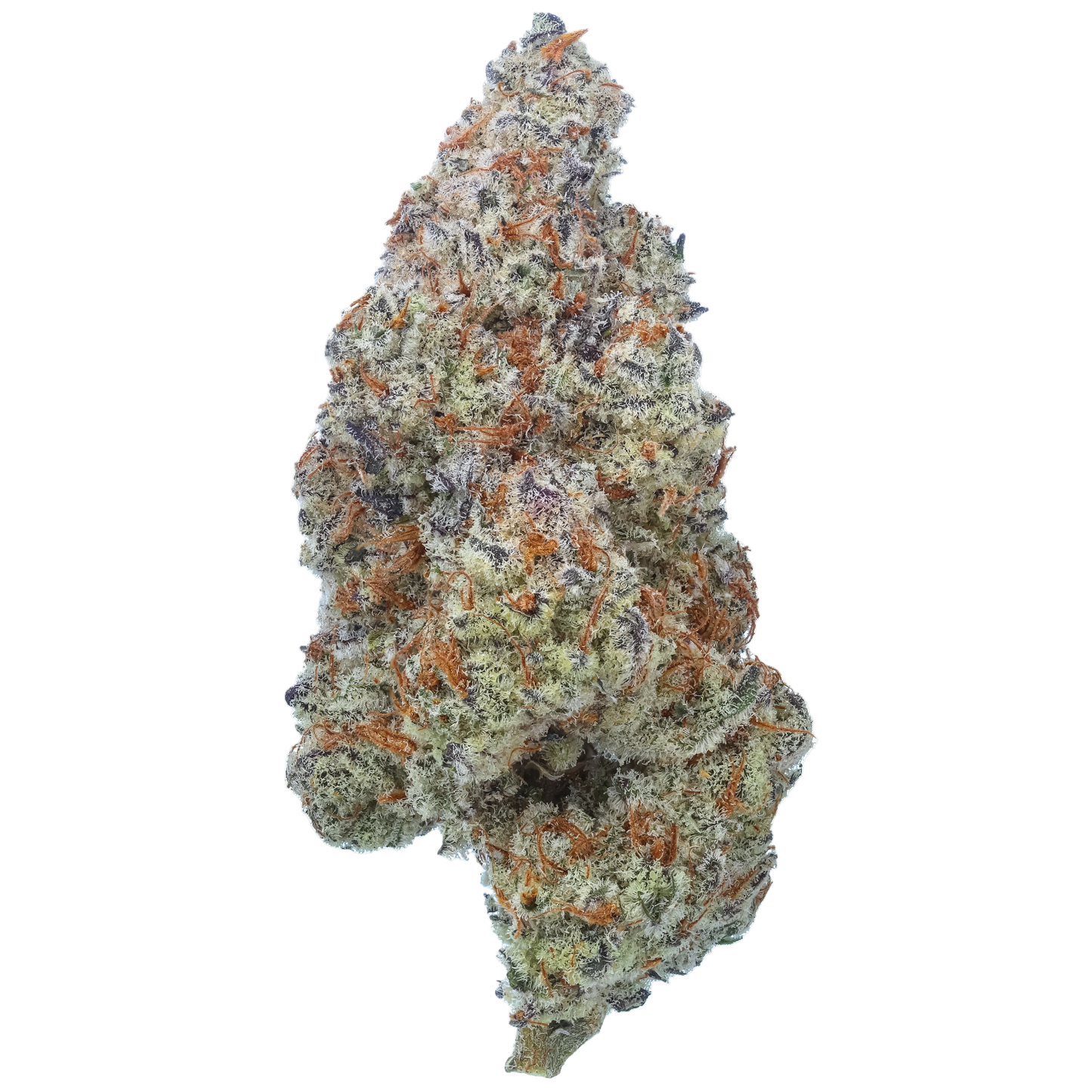 Plasma Fruit