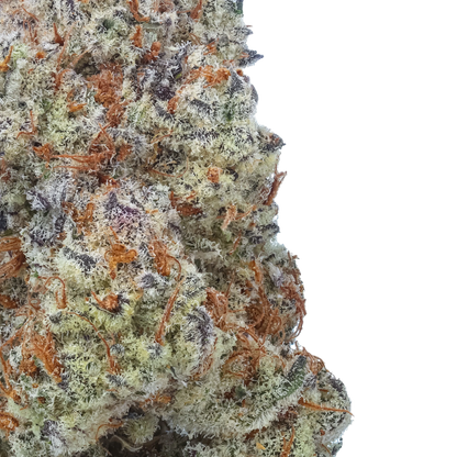 Plasma Fruit