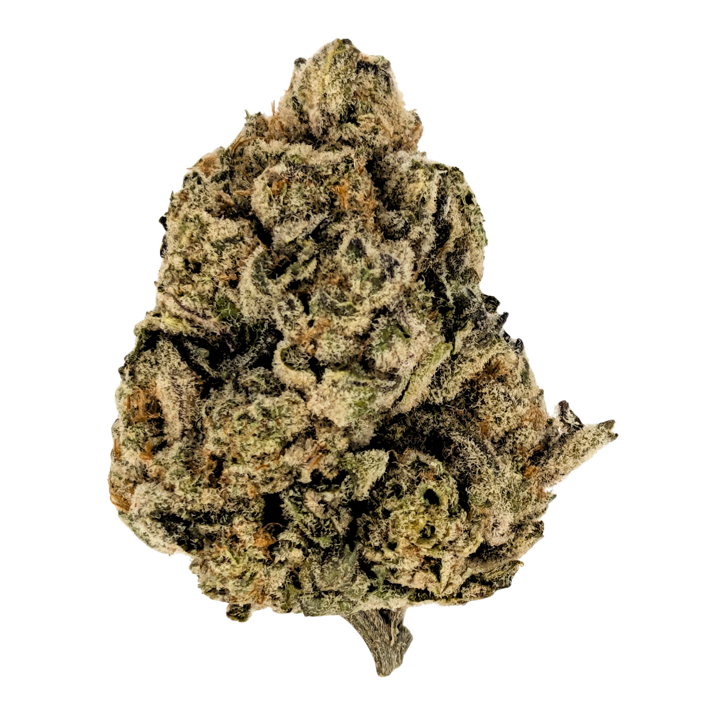 GG4 (Gorilla Glue #4)