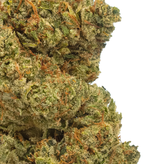 Gorilla Glue #4 flower bud zoomed in