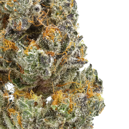 GG4 (Gorilla Glue #4)