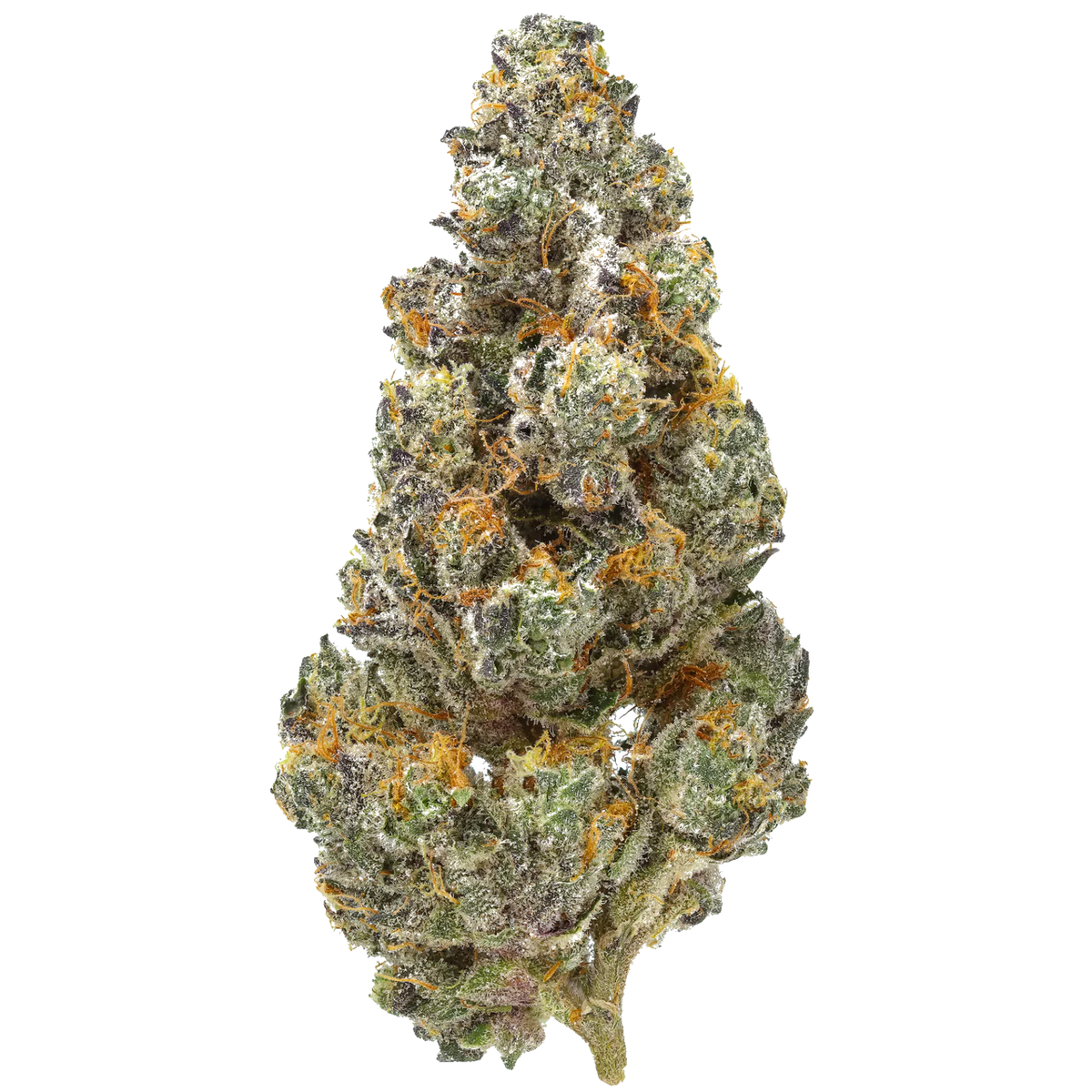 GG4 (Gorilla Glue #4)