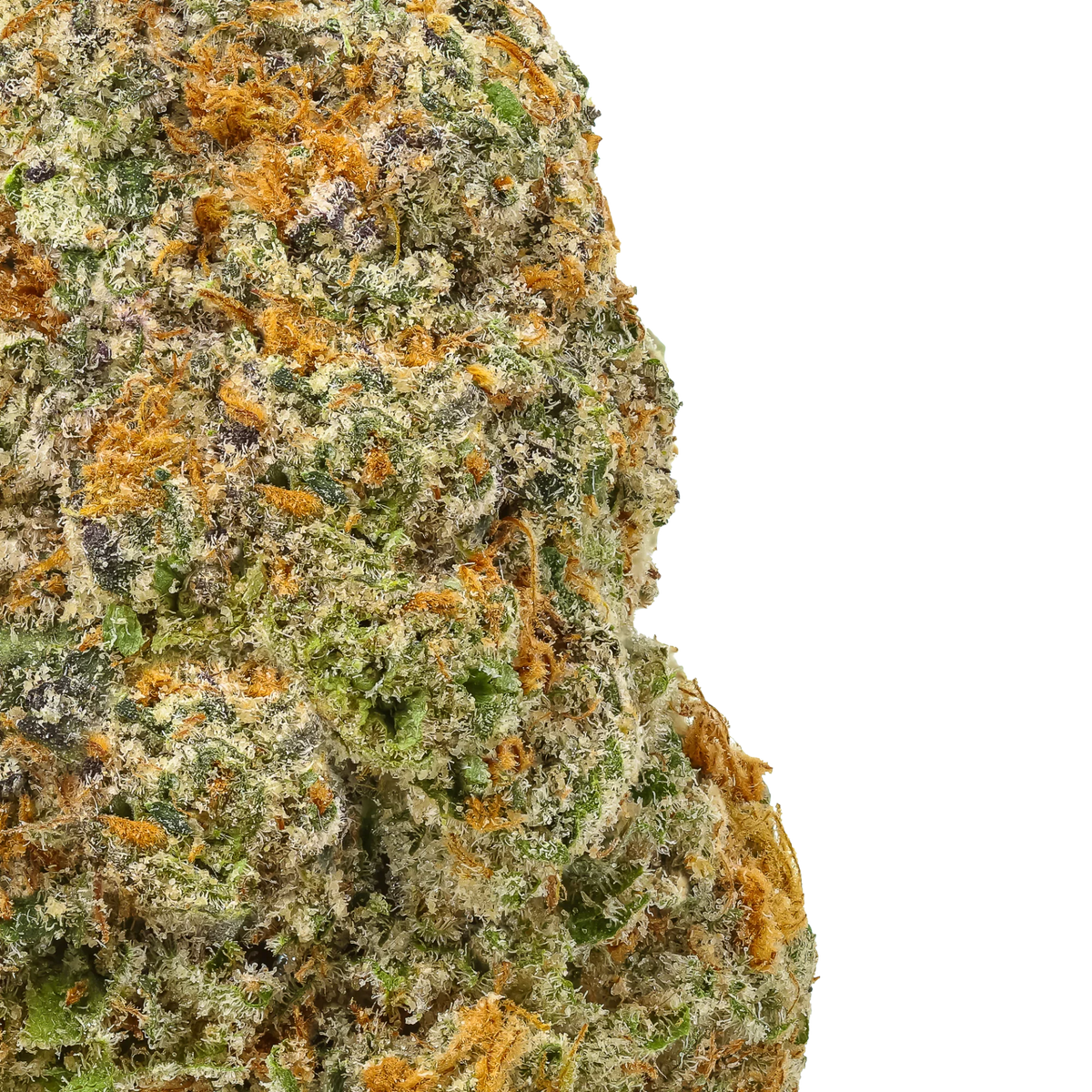 Gas Station Candy | Flow Gardens