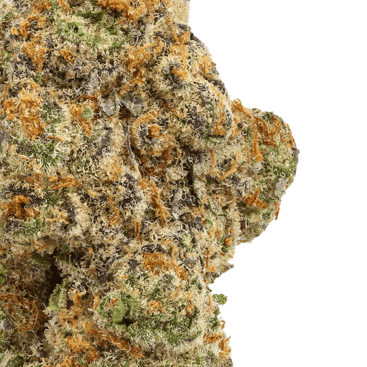 Glitter Bomb