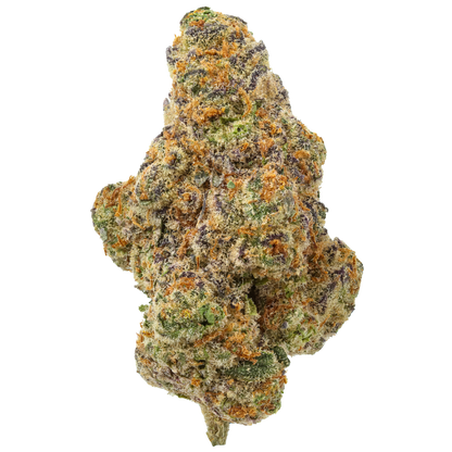 Glitter Bomb
