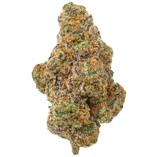 Glitter Bomb