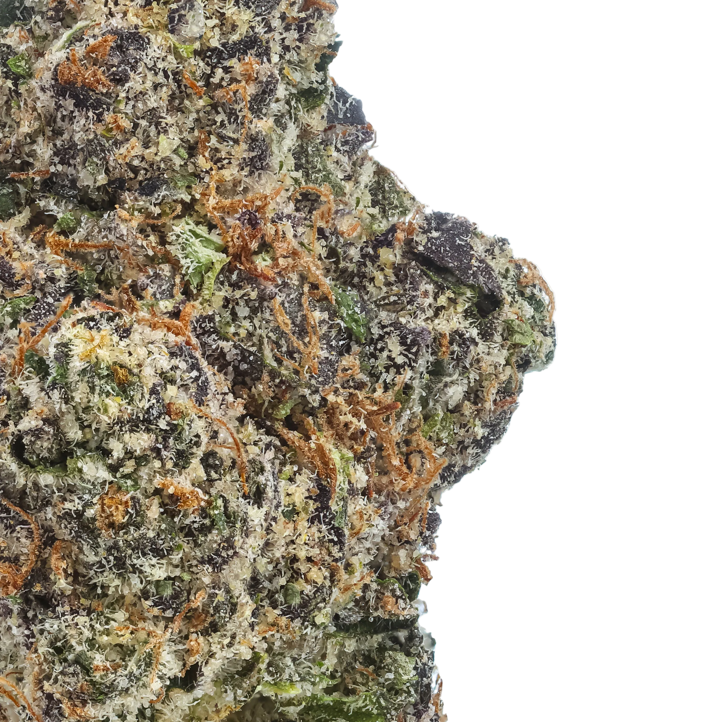 Grape Gumbo