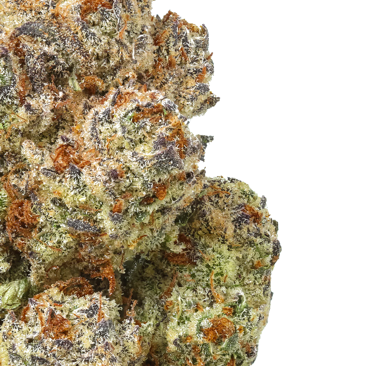 Grape Z