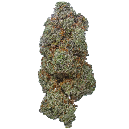Grease Monkey