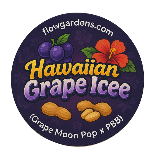 Hawaiian Grape Icee label with grape, flower, and peanut graphics on a purple background.