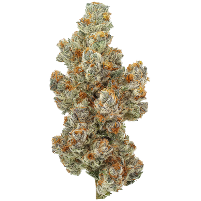 Close-up of a cannabis bud with green and orange hues