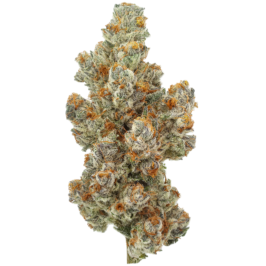 Close-up of a cannabis bud with green and orange hues