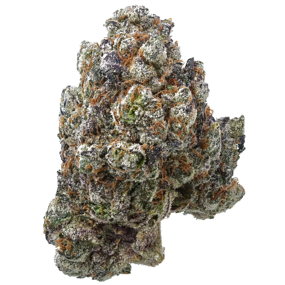 Frosty cannabis bud with purple hues and orange hairs on white background