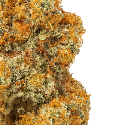 Jack Herer