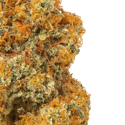 Jack Herer