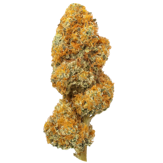 Jack Herer