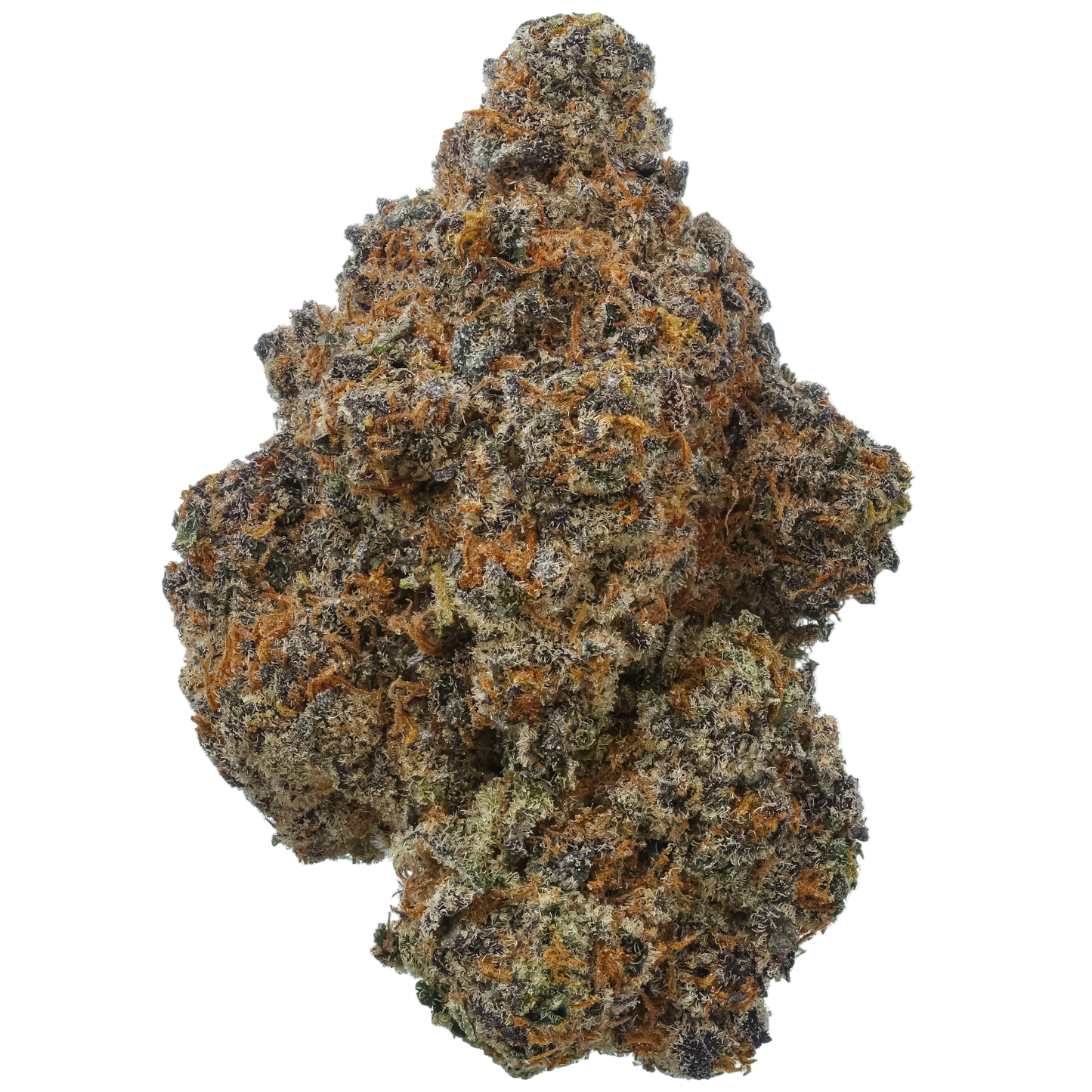 Lemon Cherry Cookies