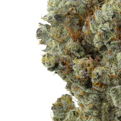 Lemon Cherry Sherbet
