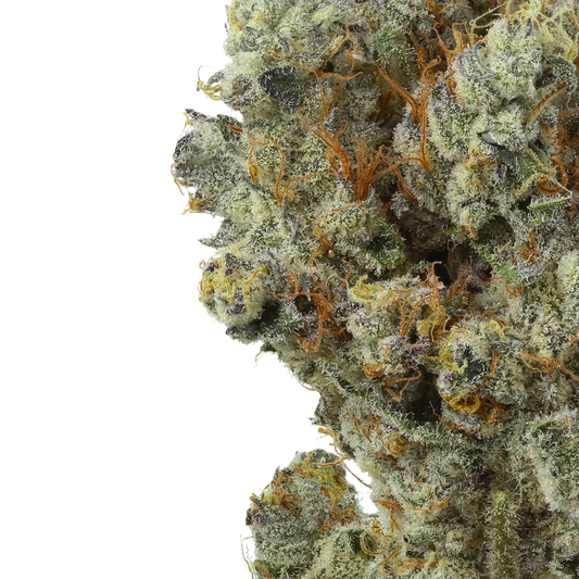 Lemon Cherry Sherbet