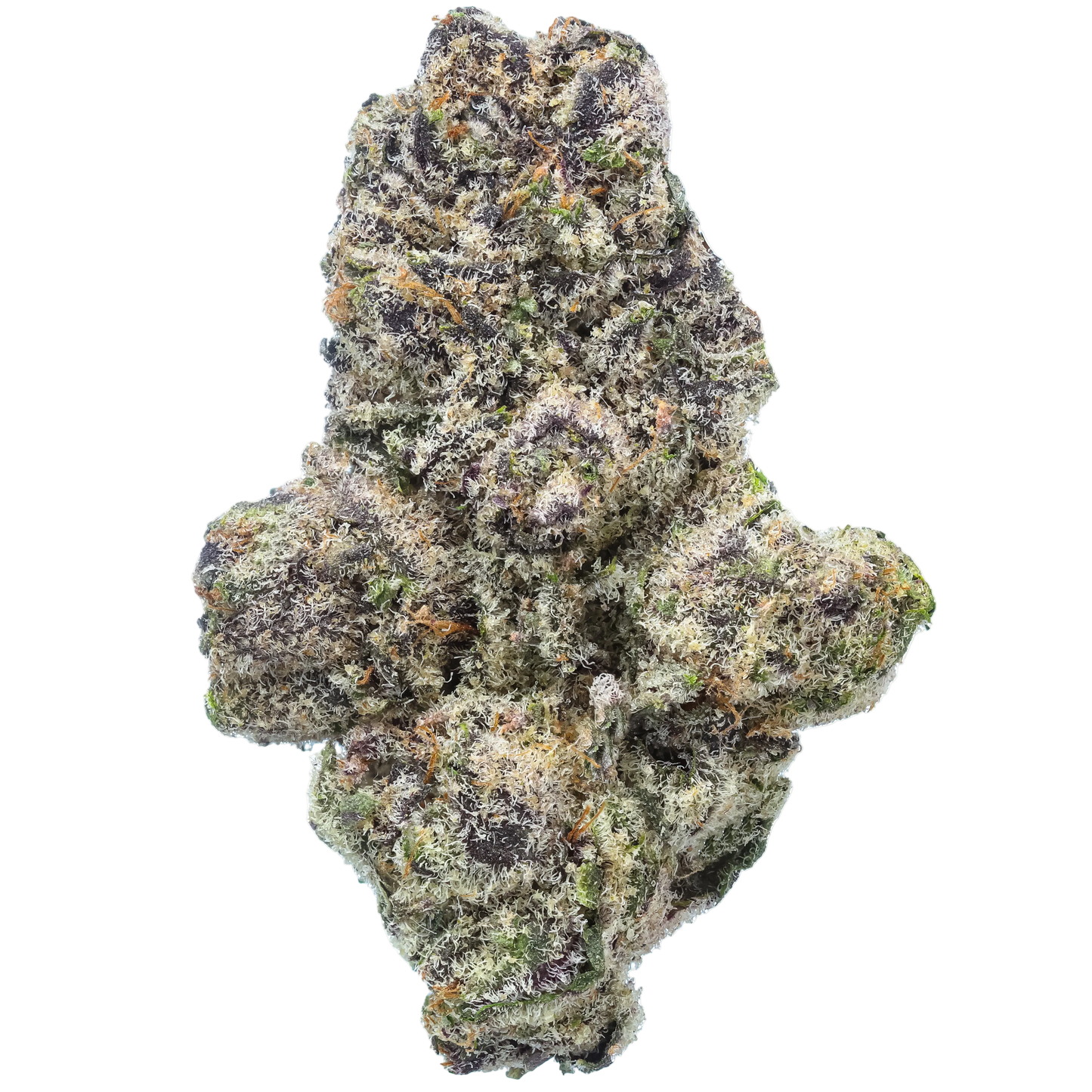 Close-up of a cannabis bud on a white background