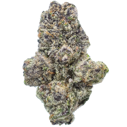 Close-up of a cannabis bud on a white background